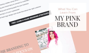 What You Can Learn from My Pink Brand
